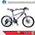 2015 Alibaba Boutique en ligne Fournisseur chinois Vente en gros à prix bon marché American Kids Chopper Bike à vendre